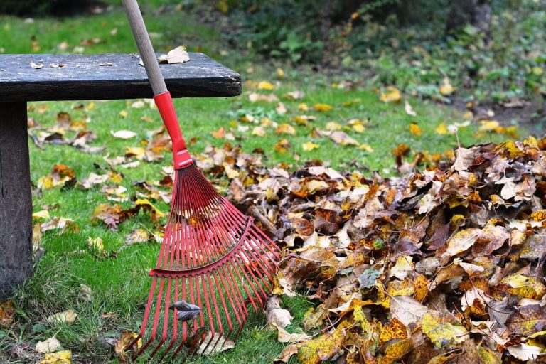 fall-tools-for-cleaning-up-leaves