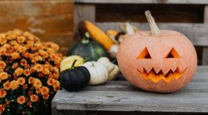 pumpkin carving for halloween