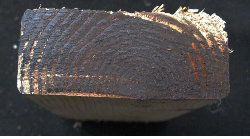 why does table saw burns wood?